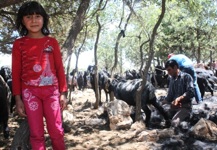 img_6778.jpg img_6778.jpg