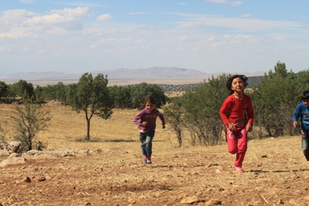 img_6865.jpg img_6865.jpg