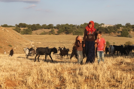 img_6973.jpg img_6973.jpg