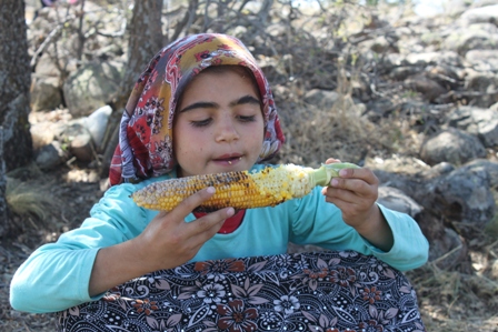 img_7707.jpg img_7707.jpg