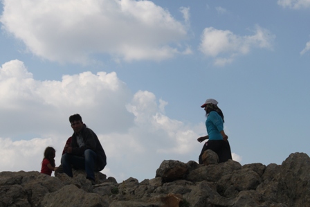 img_8251.jpg img_8251.jpg