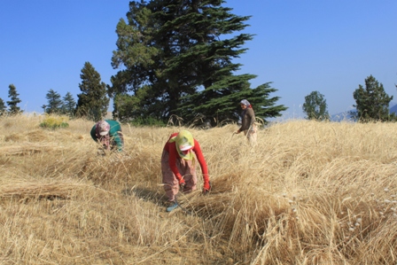 img_8285.jpg img_8285.jpg