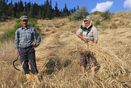 img_8300.jpg img_8300.jpg