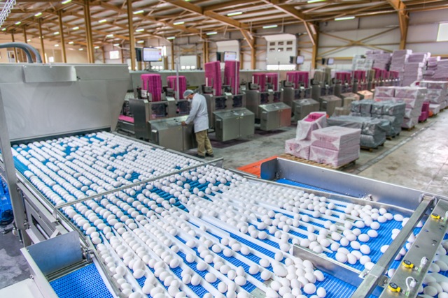 ittifak-holding,-dost-ulke-sudan’in-ekonomi-ve-ticaret-bakanlari’ni--(5).jpg