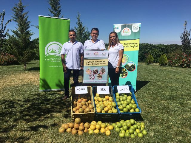 japon-(asya)-armudu-projesinin-tanitim-ve-hasat-senligi-eregli’de--(1).jpeg