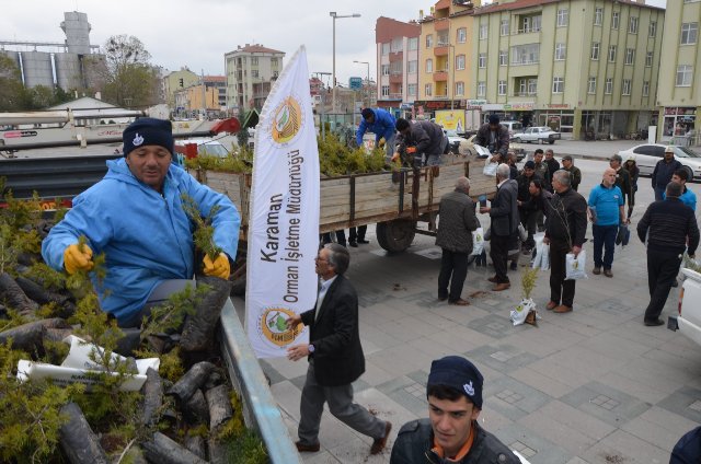 karapinarda-fidan-dagitildi--(3).jpg