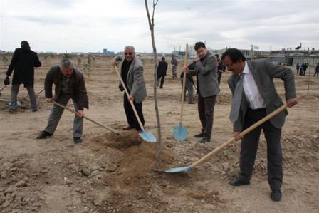 karatay’da-2-milyon-833-bin-429-m²’lik-alanda-agaclandirma-yapildi-(3).jpg