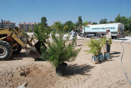 karatay-agaclandirma-(2).jpg