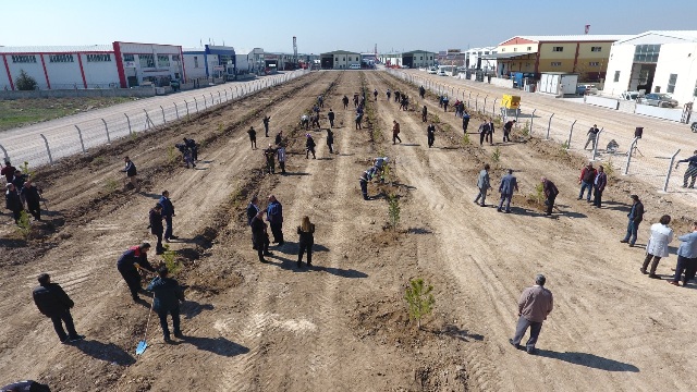 karatay-belediyesi-personeli,-hatira-koruluguna--agac-dikti-(2).jpg