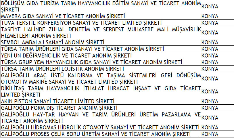 kayyum-atanan-firmalar.jpg