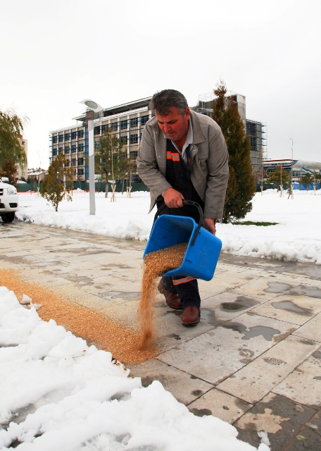 kis-berekettir-(3).jpg