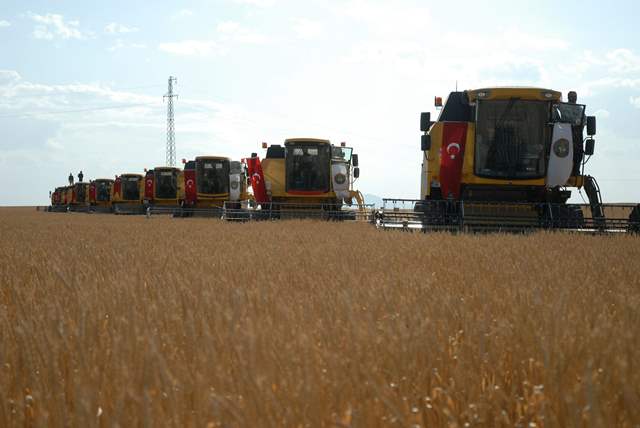 konya’da-tarim-alani.jpg