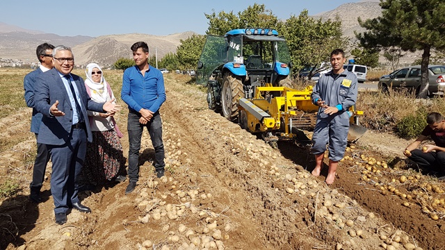 konya,-patates-uretiminde--(1).jpg