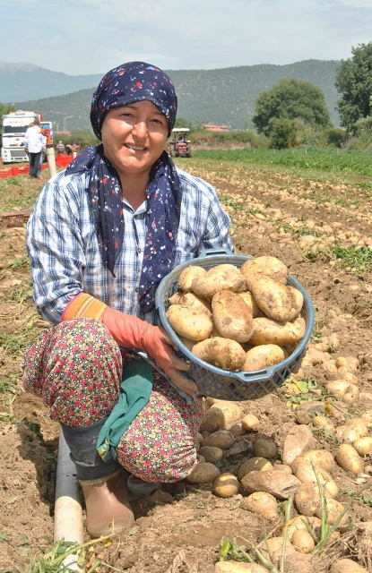 konya,-patates-uretiminde--(7).jpg