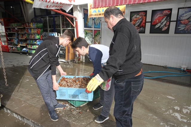 konyada-salyangoz-sezonu-acildi---(4).jpg
