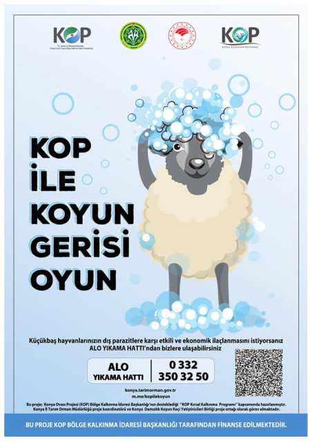 kop-(4).jpg