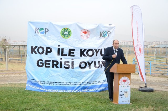 kop-ile-koyun-gerisi-oyun-4.jpg