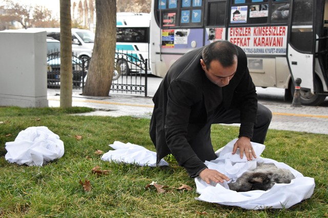 kopek-olulerini-kefenleyip-belediye--(4).jpg
