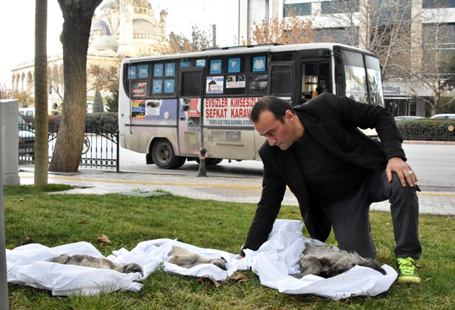 kopek-olulerini-kefenleyip-belediye--(5).jpg