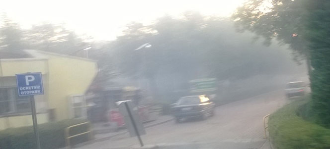 kozagac-parki.jpg kozagac-parki.jpg