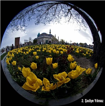 la_z_b_10.jpg la_z_b_10.jpg