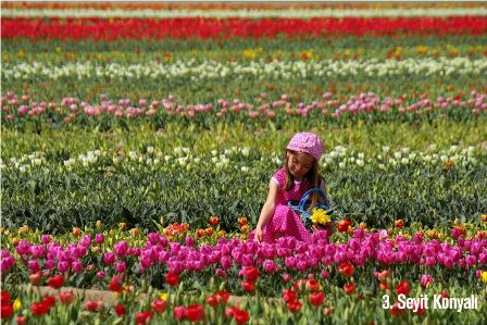 la_z_b_11.jpg la_z_b_11.jpg