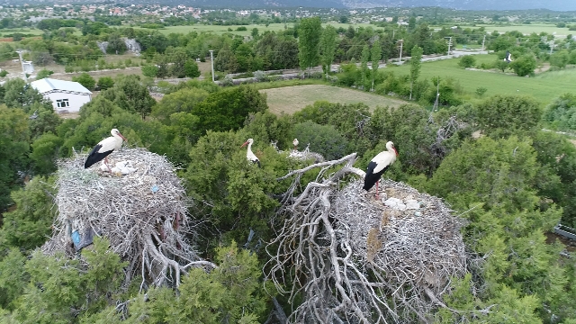 leylekler-vadisi’nde-senlik-var--(9).jpg