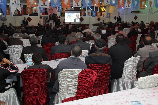 m-said-celik-(4).jpg