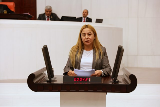 milletvekili-esin-kara’dan,-mali-musavirlere.jpg