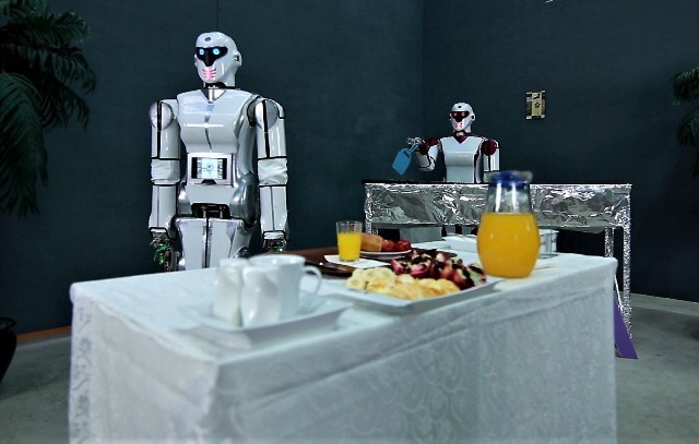 milli-robot-ada-gh5-gunluk-hayatta-(3).jpg