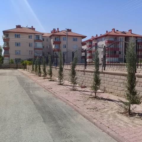 muslime-ali-yaman-ilkokulundan--(3).jpeg