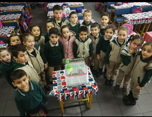 ogrencilerden-hayvanlara-proje-(2).jpeg