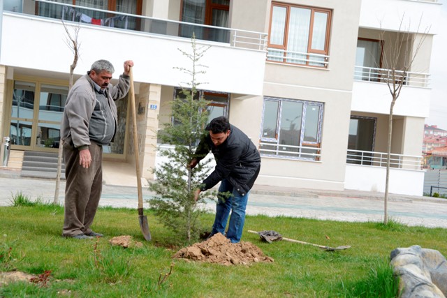 ornek-projeyle-meram-daha-da-yesilleniyor-(4).jpg
