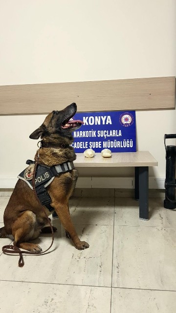 oscar’dan-yine--(1).jpg