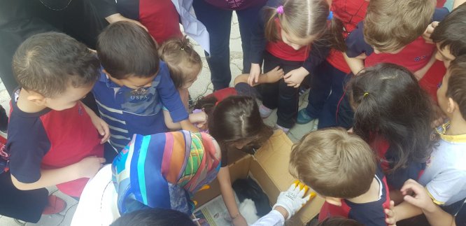 ozel-turmak’ta-hayvanlari--(2).jpg