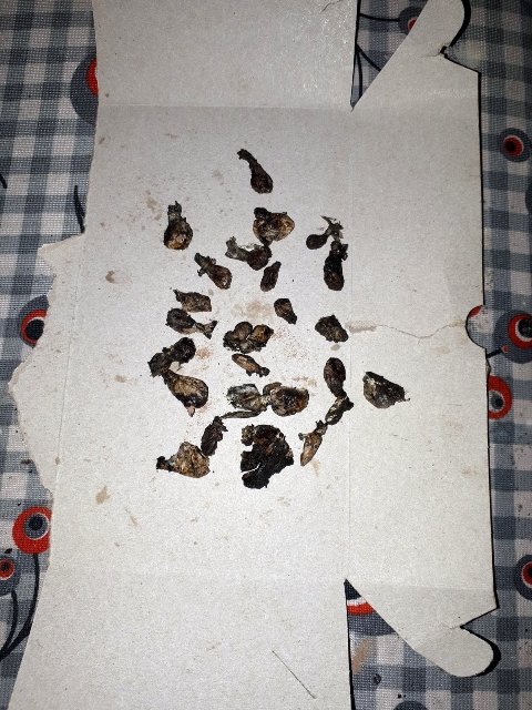 polis-birden-basti-eroini-sobaya-attilar--(2).jpg