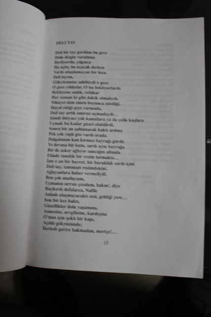 resim2345-001.JPG