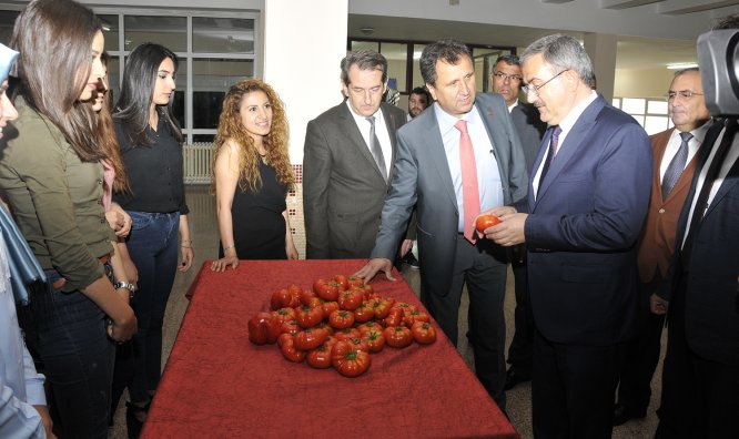 selcuk’ta-sanayi-tipi-hibrit-domates-cesidi-gelistirildi-(1).jpg
