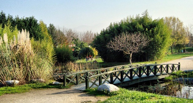seydisehir-botanik-parkla--(2).jpg