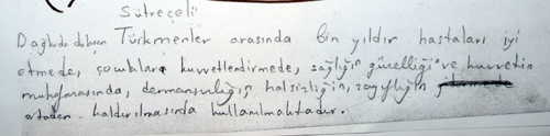 seyit-2.jpg