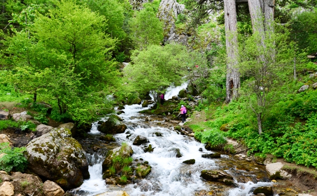 su-ve-kus-(7).jpg