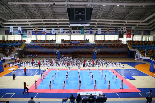 taekwondo-(1).jpg
