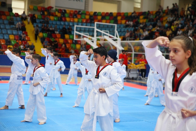 taekwondo-(2)-001.jpg