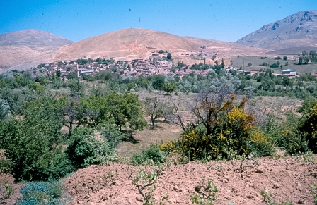 tara0191.jpg tara0191.jpg