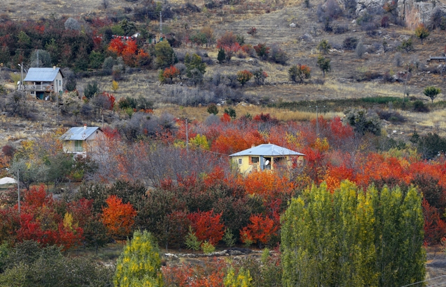 toros-daglari’nda-sonbahar--(8).jpg