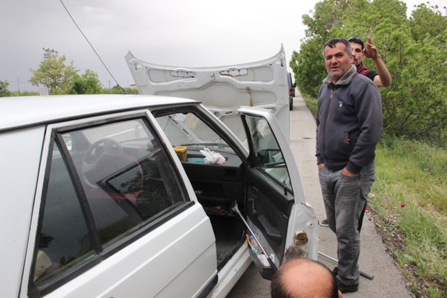 torpidodan-yilan-cikti--(8).jpg
