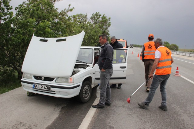 torpidodan-yilan-cikti--(9).jpg