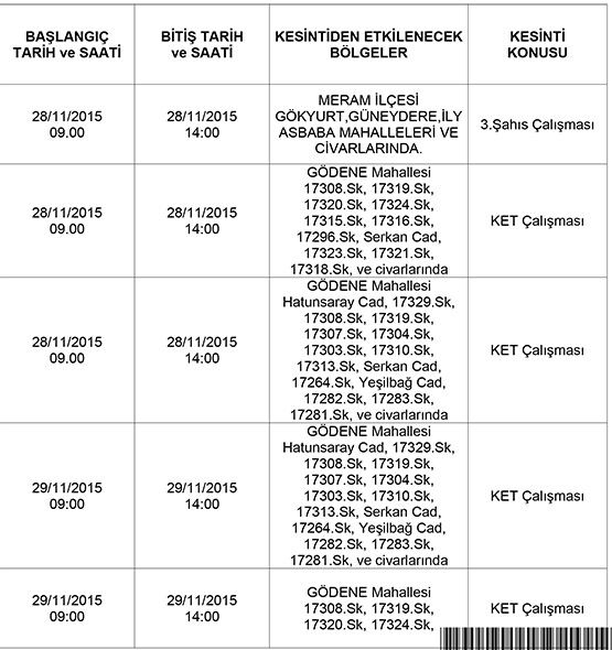 ty-1-copy.jpg