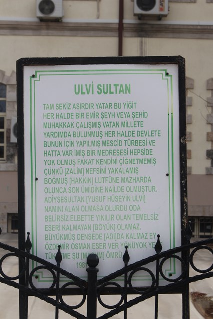 ulvi-sultan--(1).jpg