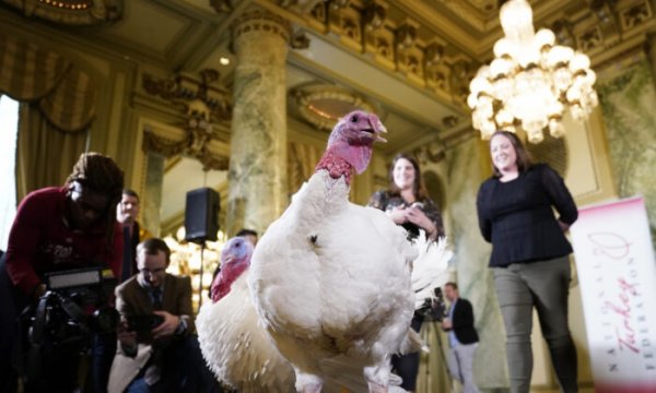 white-house-trump-turkey-2-700x420.jpg